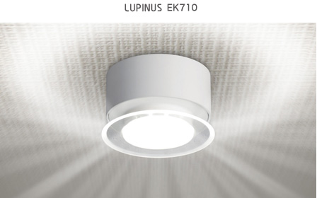 LUPINUS EK710