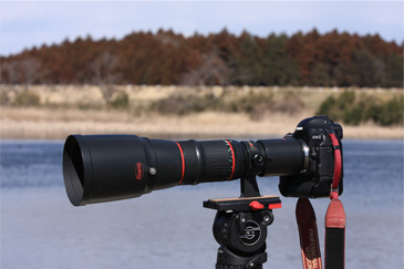 Vol.01 First Impressions of using the PROMINAR 500mm F5.6 FL | Koji  Nakano's Telephoto Lens/Scope PROMINAR Report