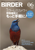 BIRDER 2012年6月号